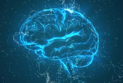 Pon a Prueba tu Coeficiente Intelectual con esta Aplicación